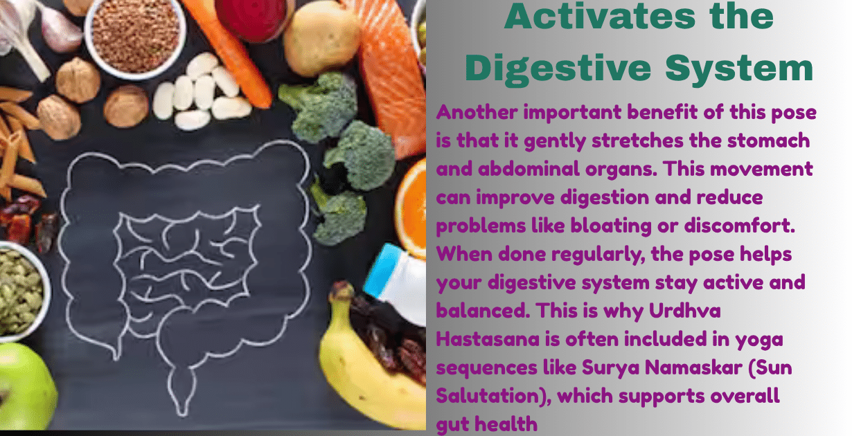 Urdhva Hastasana Benefits : Top 3 Main Benefits-How This Yoga Pose Boosts Lung Capacity and Energy 10 Urdhva Hastasana Benefits_As Digestion health