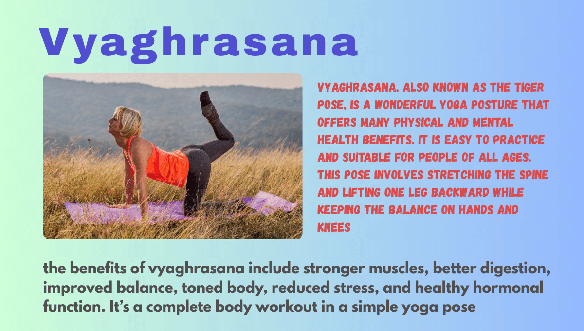 Vyaghrasana Benefits : Complete 5 benefite guide-how it is benefitial for harmonal imbalance 5 Vyaghrasana Benefits (Tiger pose)