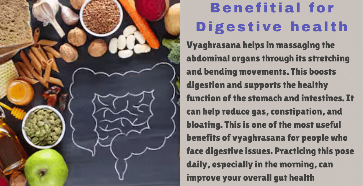 Vyaghrasana Benefits : Complete 5 benefite guide-how it is benefitial for harmonal imbalance 8 Vyaghrasana Benefits_(Tiger pose)_improve degesion