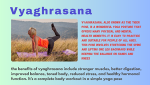 vyaghrasana's benefits (Tiger pose)