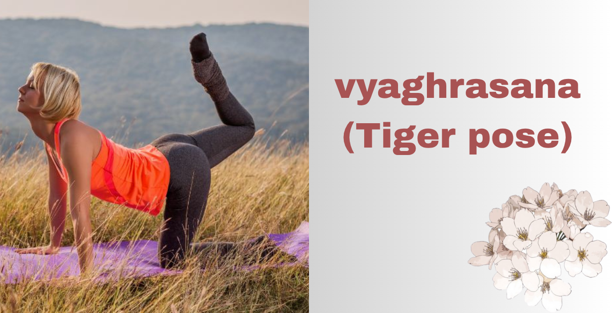 vyaghrasana's benefits (Tiger pose)_