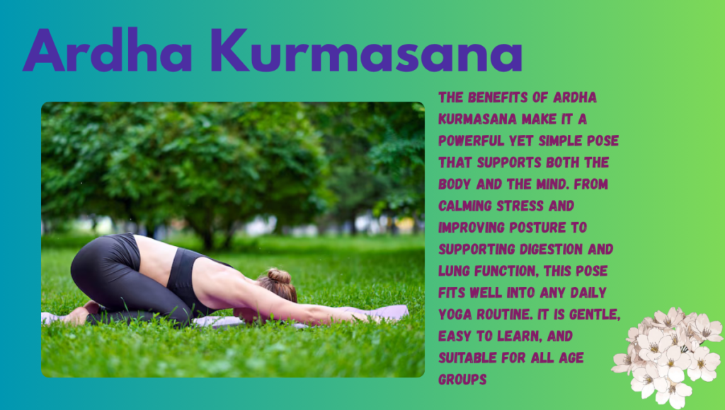 Ardha Kurmasana benefits