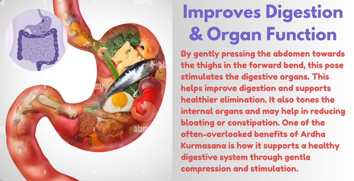 Ardha Kurmasana benefits_for better digestion