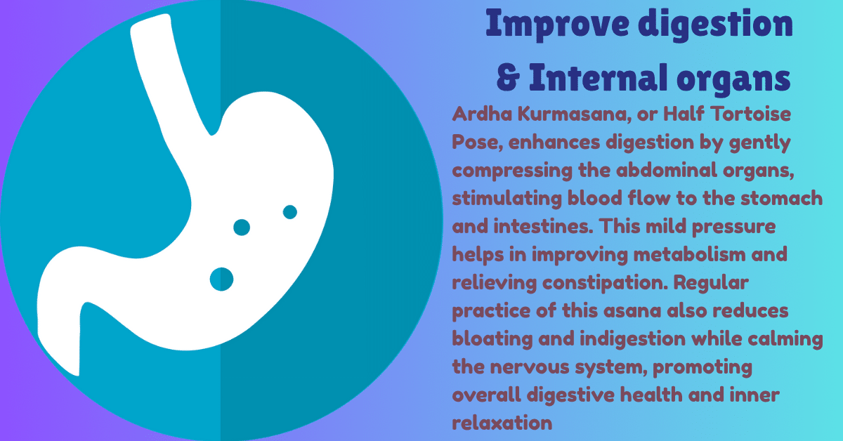 Ardha Kurmasana benefits : 3 Amazing aim-how ardha kurmasana improves Lung Capacity & mental calmness 9 Ardha Kurmasana benefits_improve digestion_