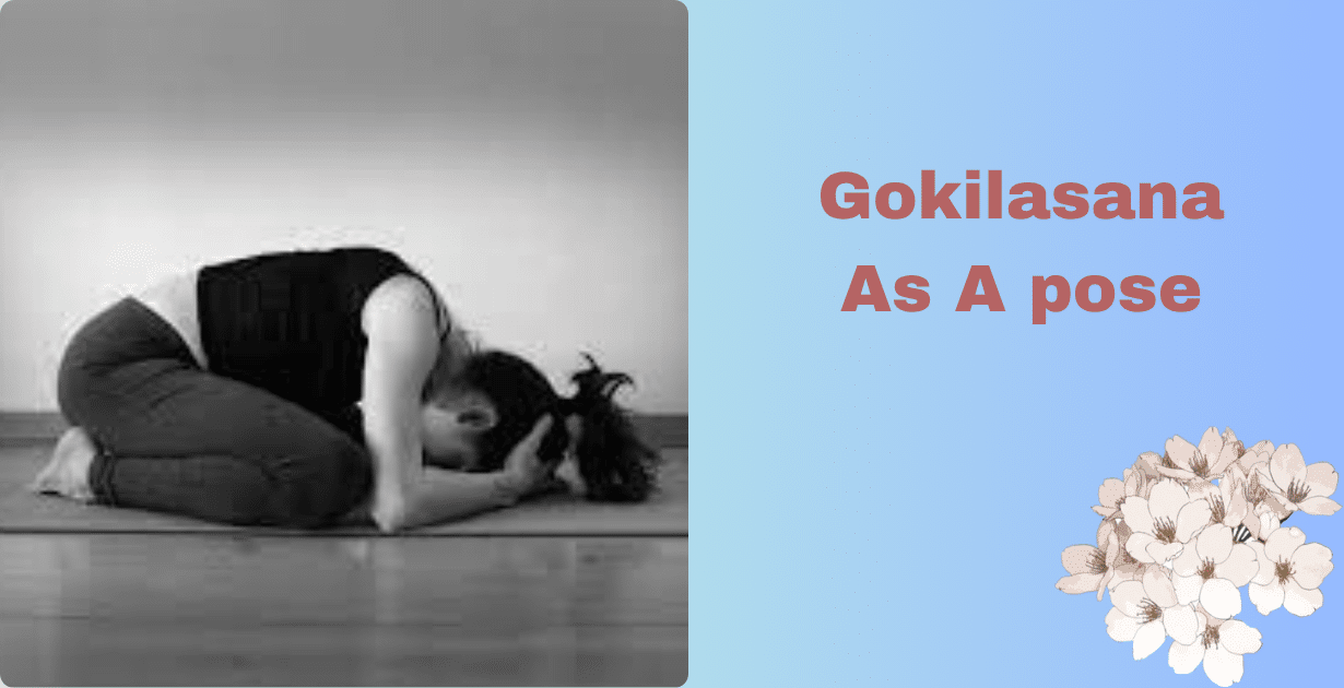 Gokilasana benefits : Detailed 3 health advantages-How Gokilasana yoga helps in reducing mental stress and enhancing body balance 7 Gokilasana benefits_As a pose