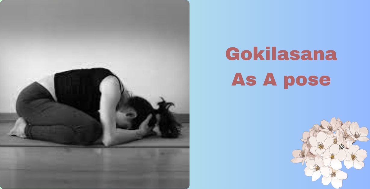 Gokilasana benefits_As a pose