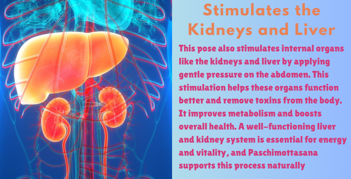 Paschimottasana benefits_stimulate the kedny & liver__