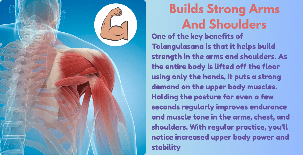 Tolangulasana Benefits : 2 Amazing aim-how tolangulasana improves digestion and spinal alignment naturally 9 Tolangulasana Benefits_Biuld strong arms and shoulders