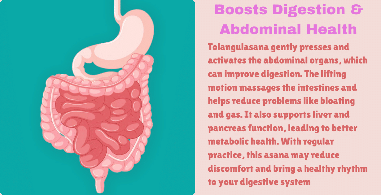 Tolangulasana Benefits : 2 Amazing aim-how tolangulasana improves digestion and spinal alignment naturally 8 Tolangulasana Benefits_Boost digestion & abdominal organs