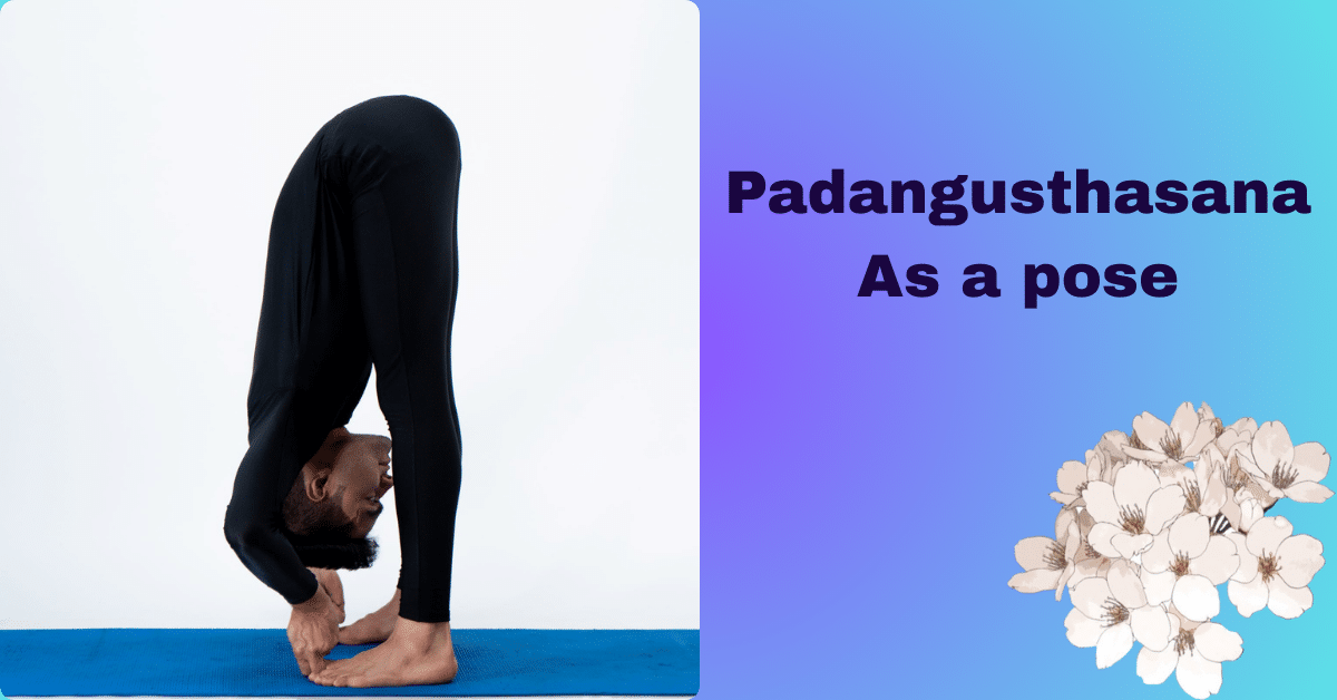Padangusthasana benefits : 2 Amazing aim-What is padahastasana and it's procedure? 7 Padangusthasana benefits_As a pose