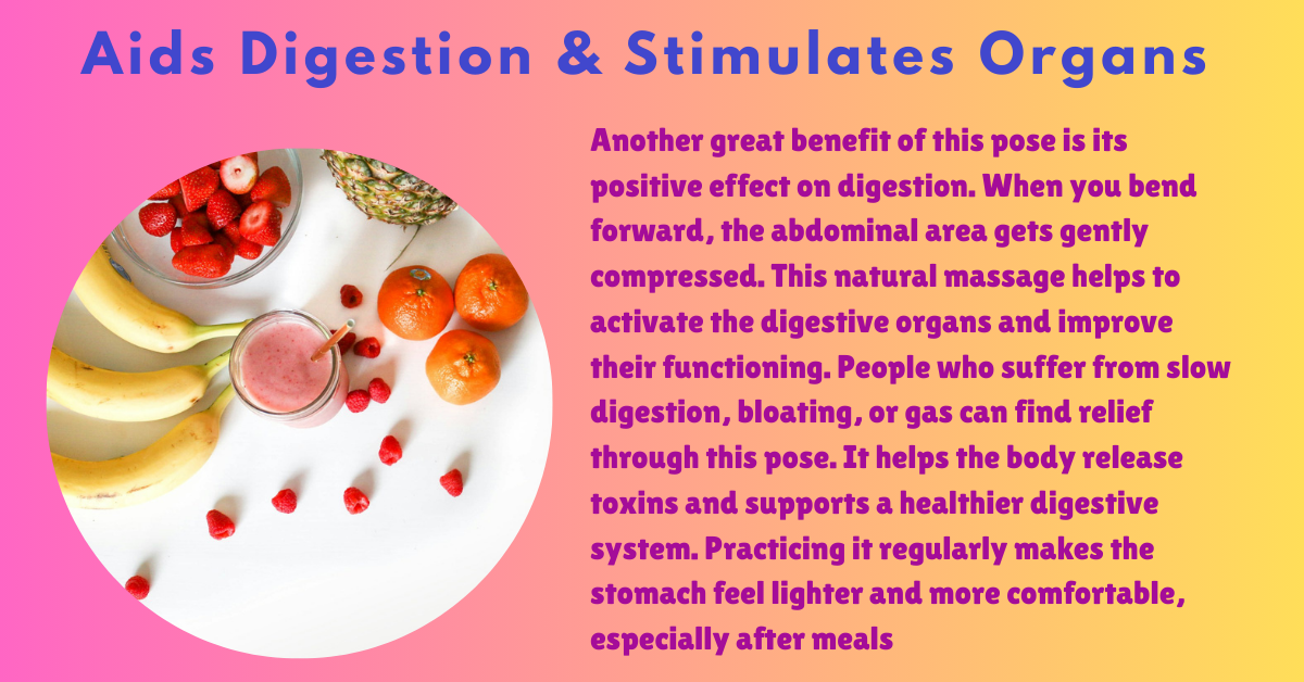 Padangusthasana benefits_improve digestive health and stimulates orguns